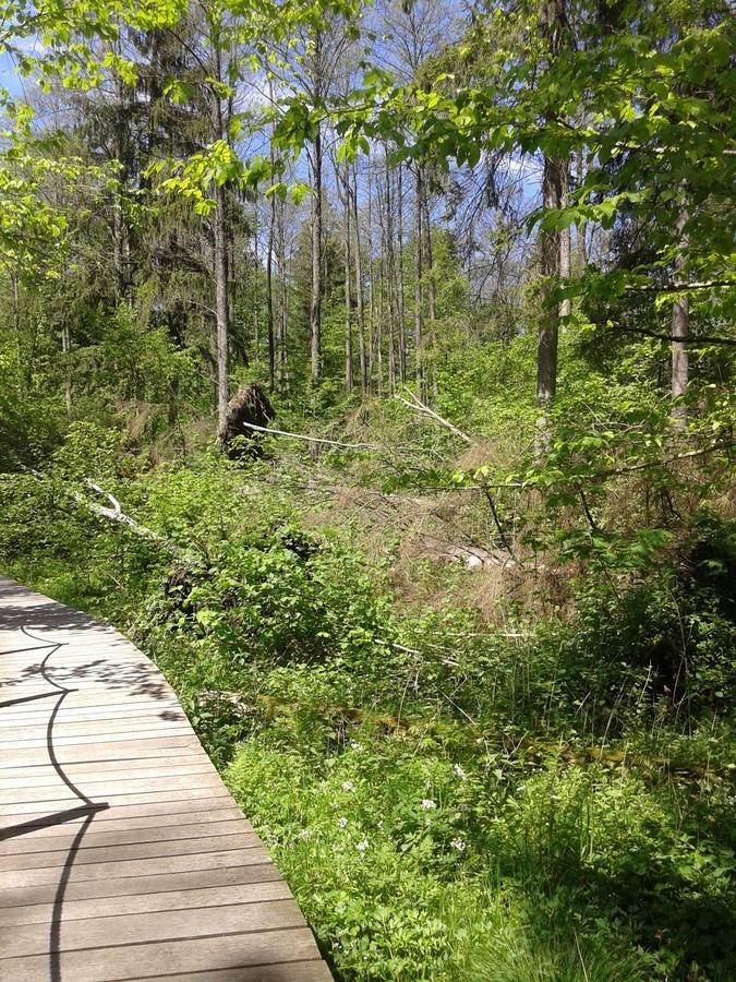 Cztery Pory Roku Konuk evi Białowieża Dış mekan fotoğraf