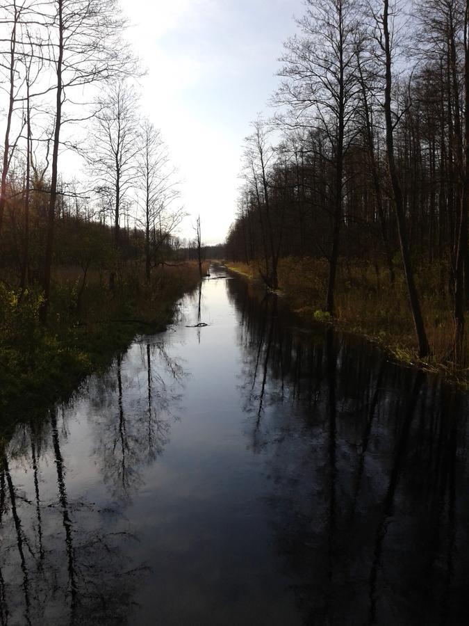 Cztery Pory Roku Konuk evi Białowieża Dış mekan fotoğraf